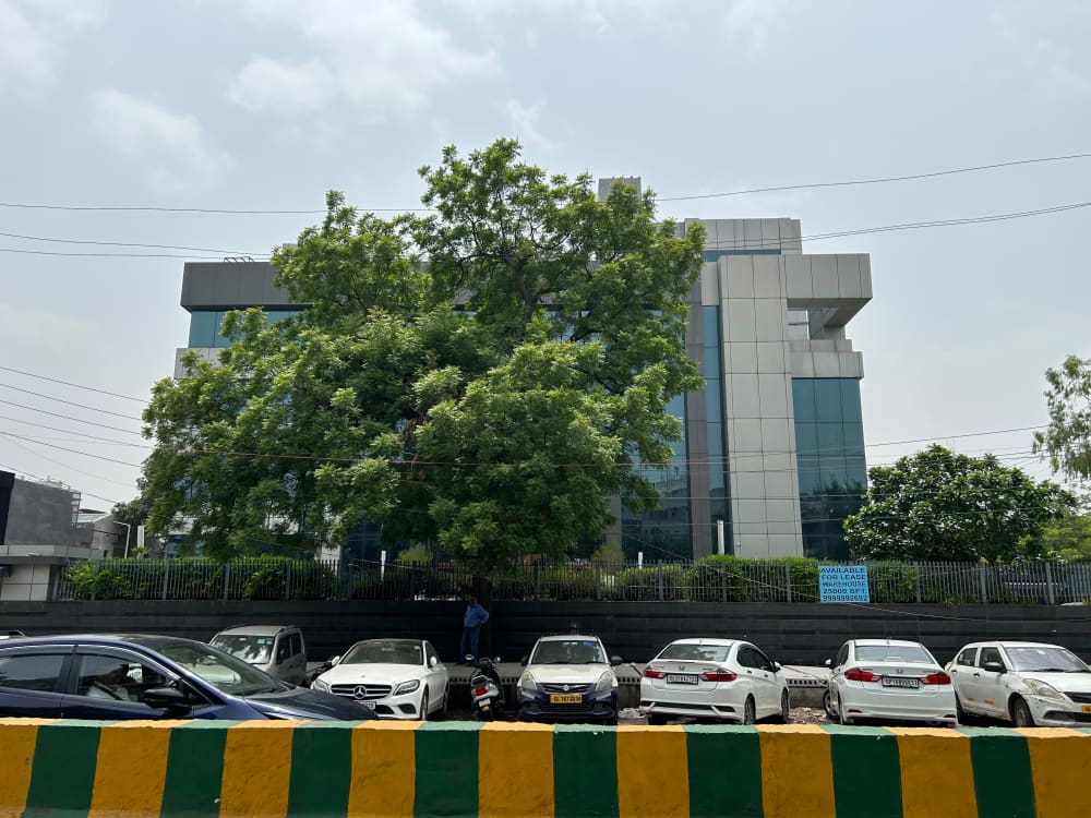 Factory for Rent Sector 8 Noida