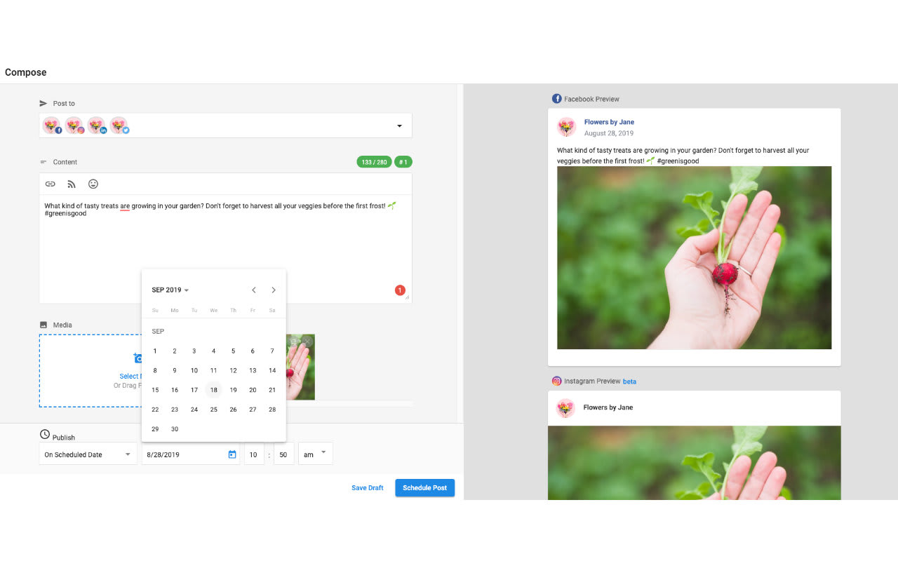 Compose posts - Social Manager