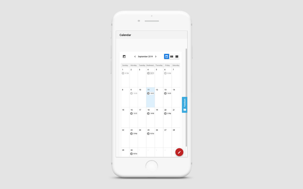 Calendar view - Social Manager