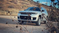 a gray 2023 Jeep Grand Cherokee hiding behind some shrubbery