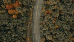 aerial top down view of a car driving through the woods