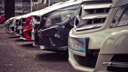lineup of vehicles for sale