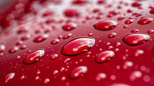 StockCake wet red car