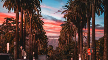 Los Angeles palm trees with the Hollywood sign in the background