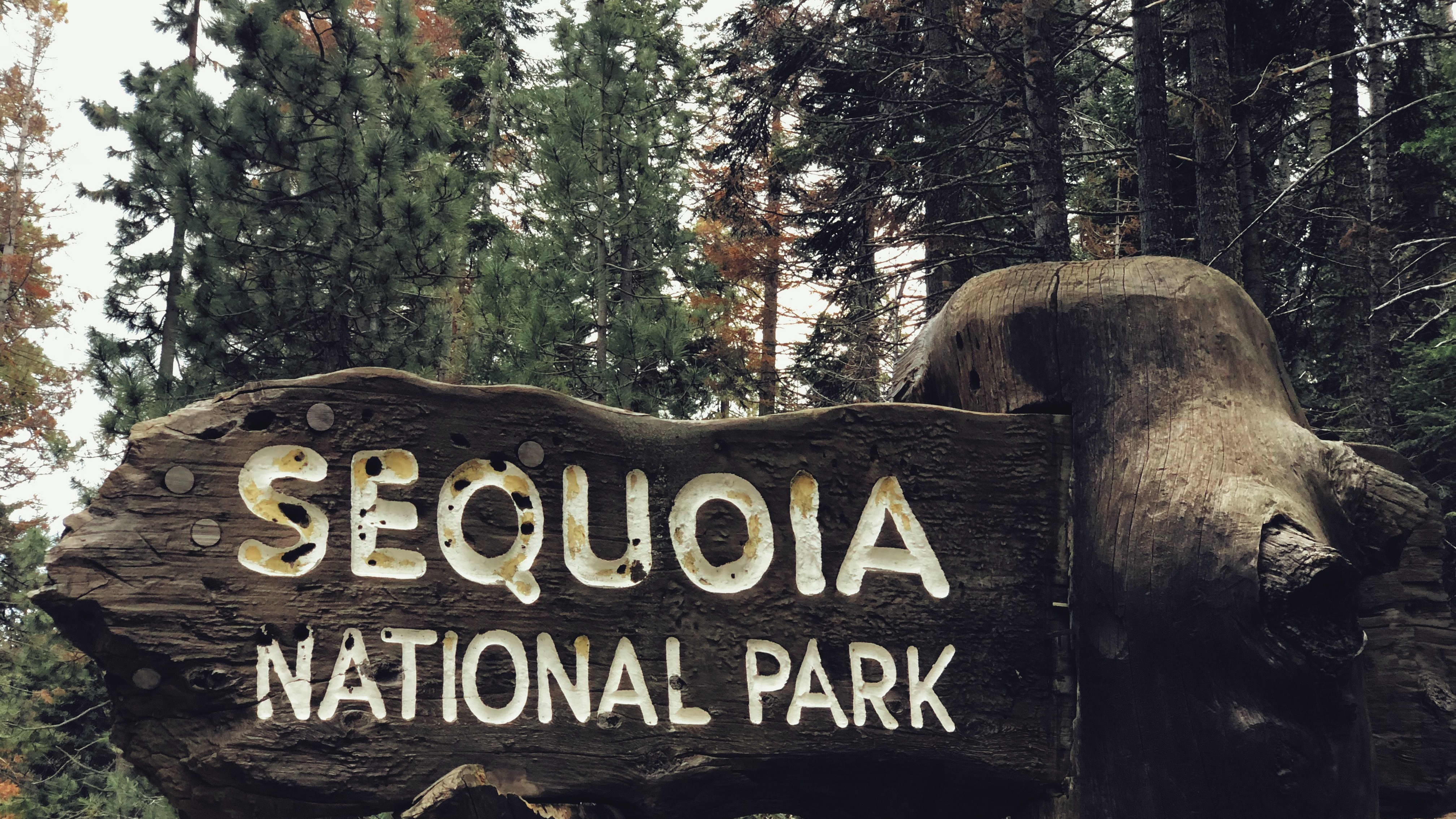 sequoia national park entrance sign