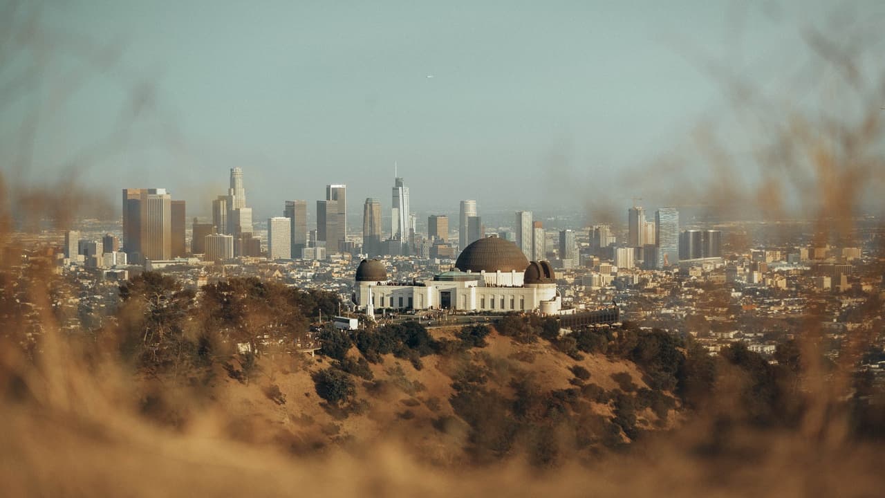 the Los Angeles skyline, seen through some bushes in the hills surrounding LA.
