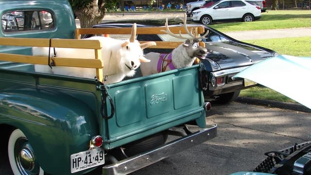 image from the 2022 Woodward Dream Cruise