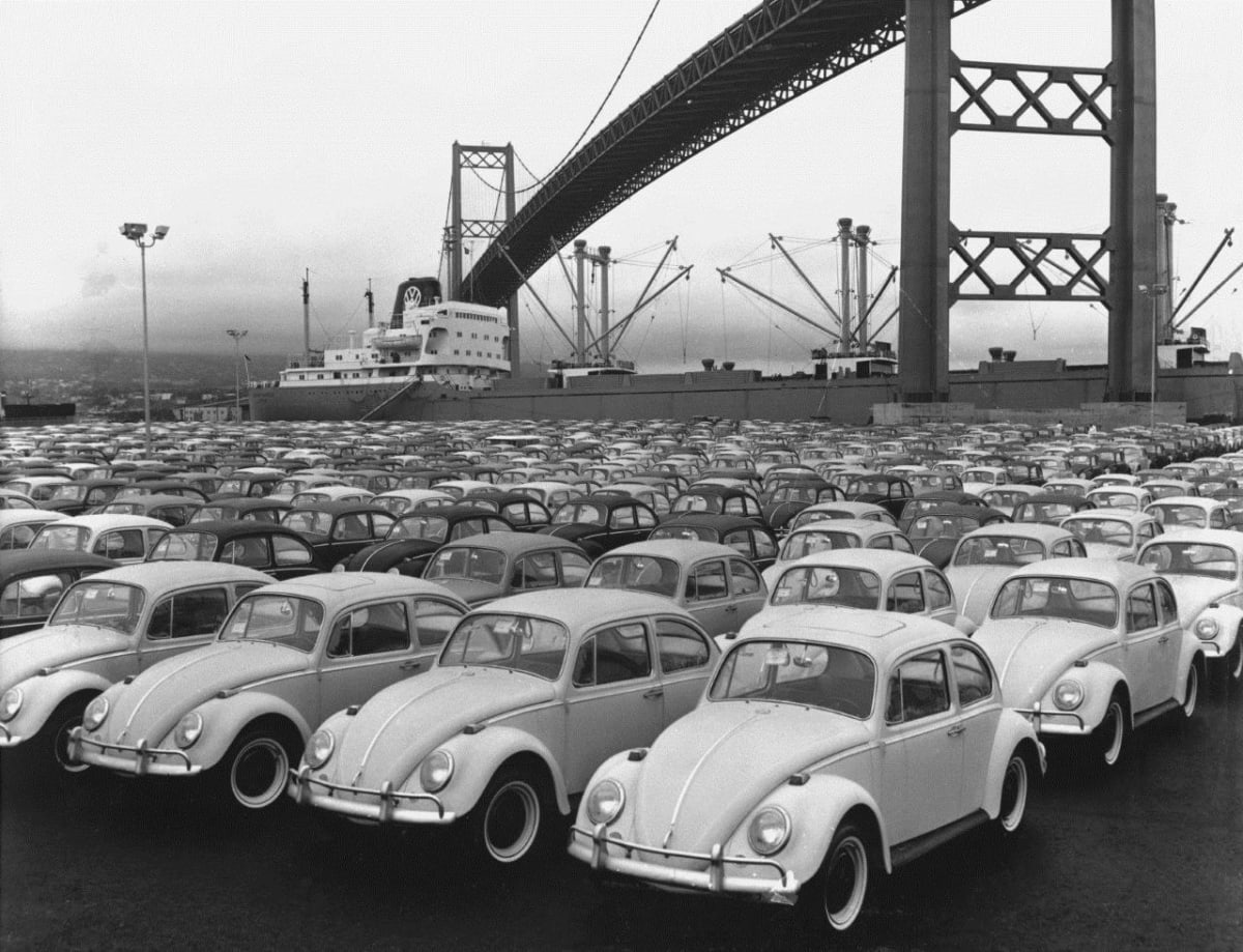 A collection of Volkswagen Beetles