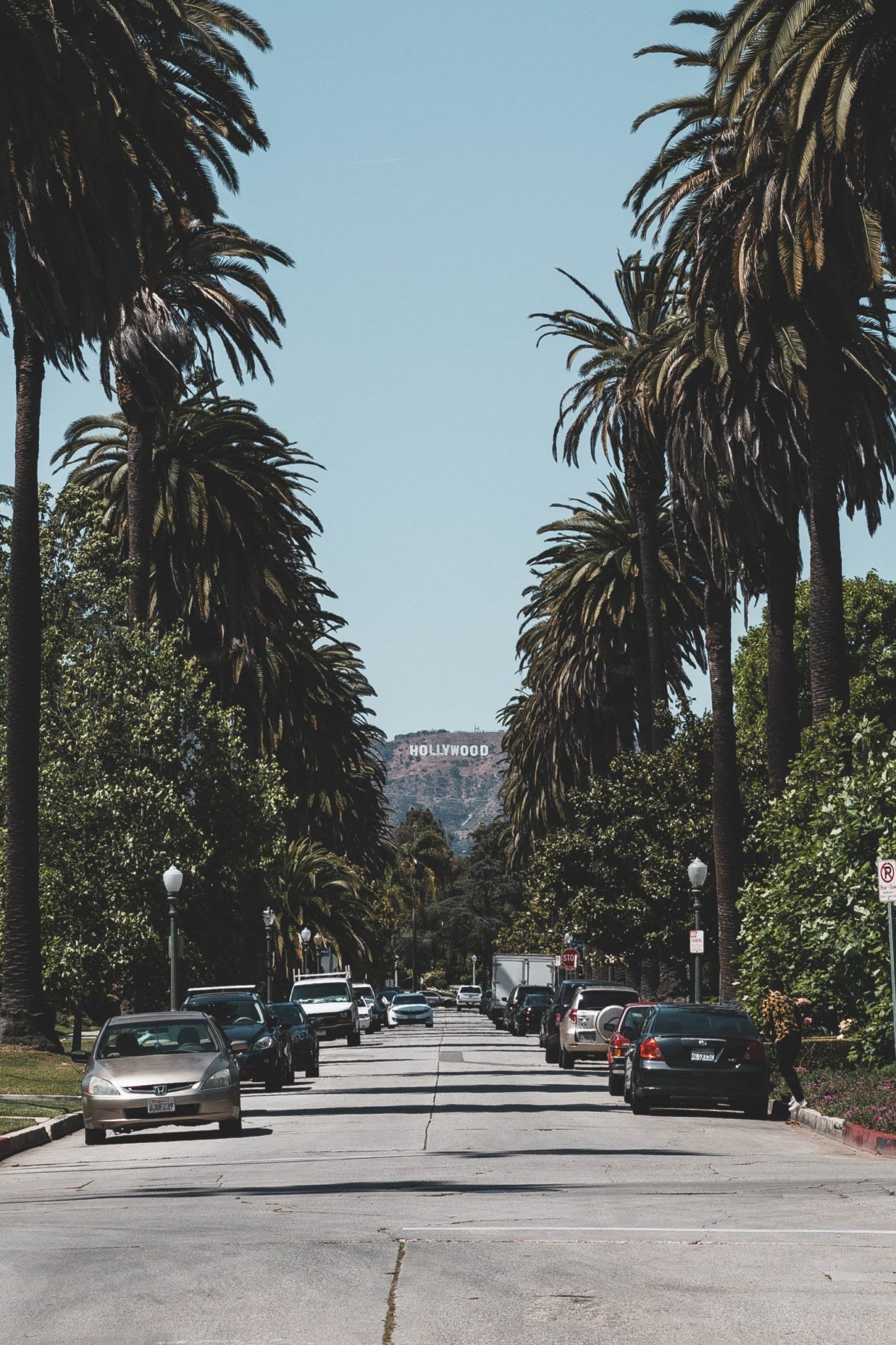a street in Los Angeles lined with palm trees and with the Hollywood sign visible in the background