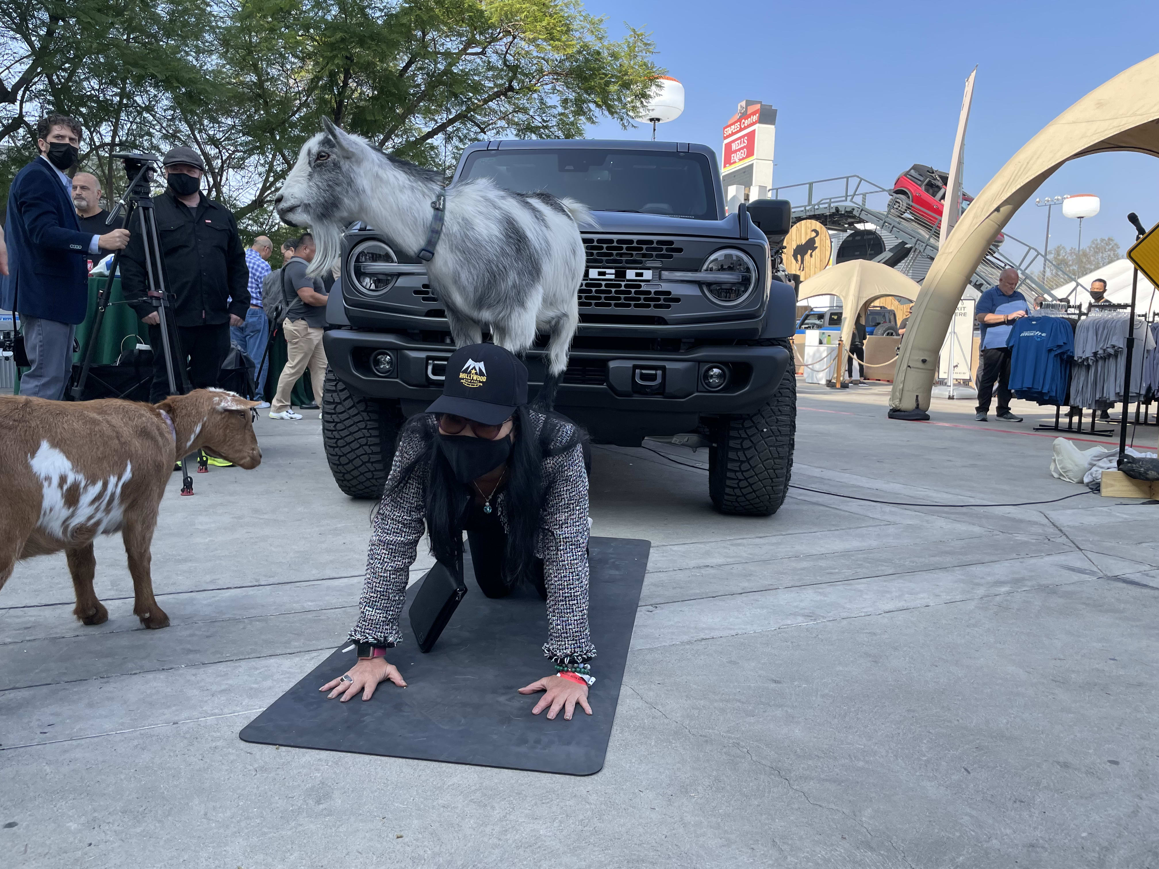 a lady on her hand and knees, on a rubber mat, with a goat on her back, at the Ford's outdoor Bronco Exhibit.