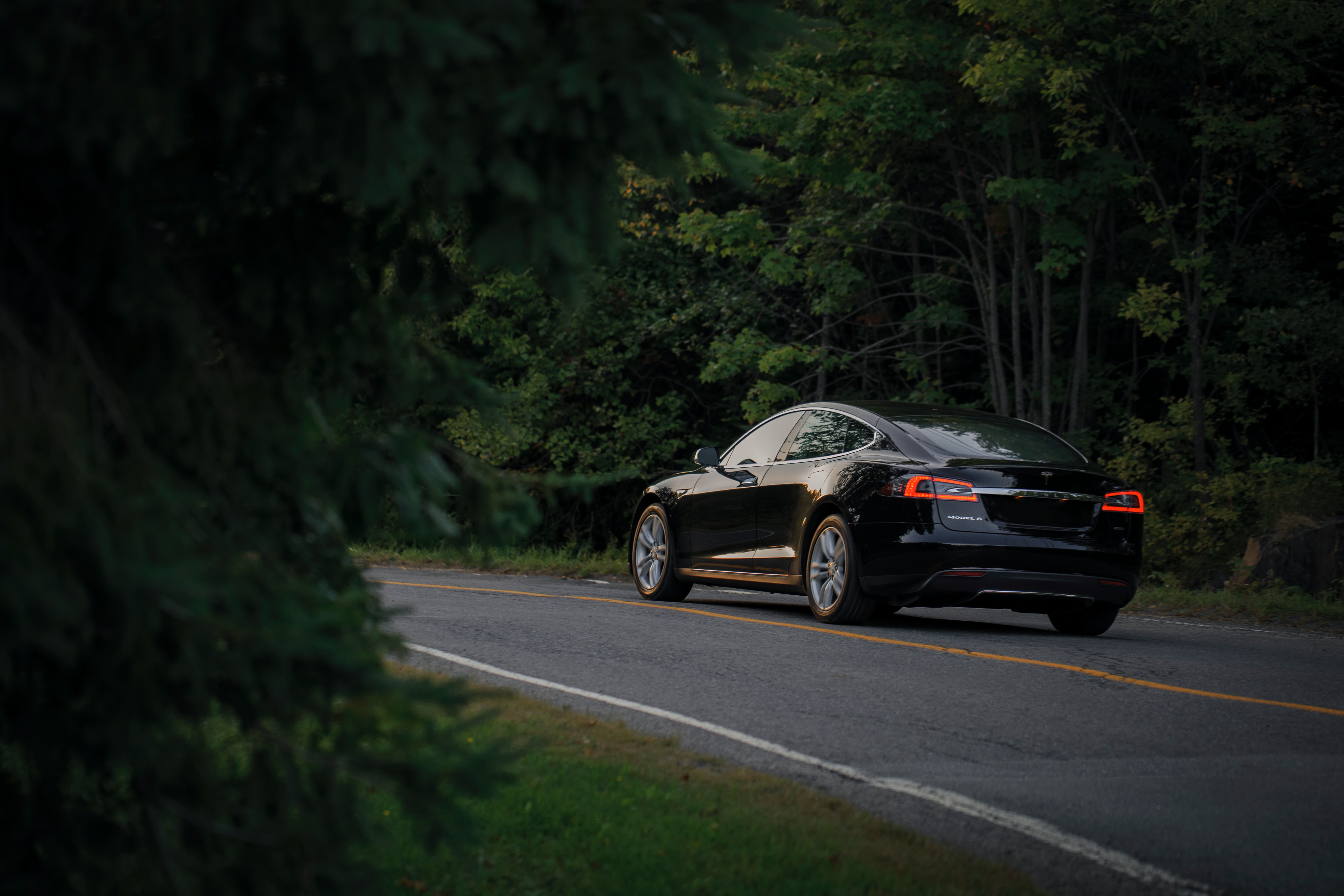 black Tesla driving down a country road with tall green trees on both sides.