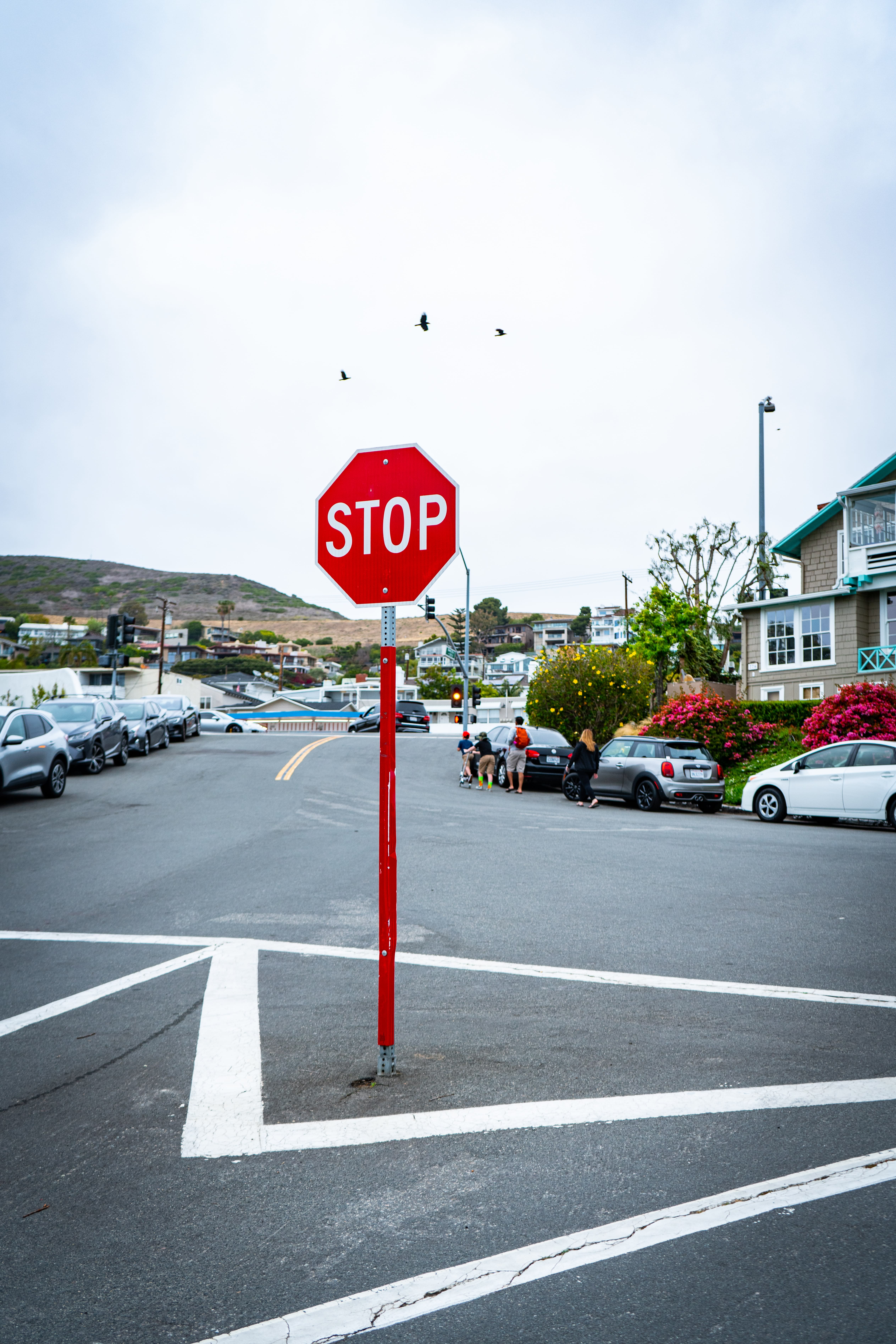 image of a stop sign in Southern California