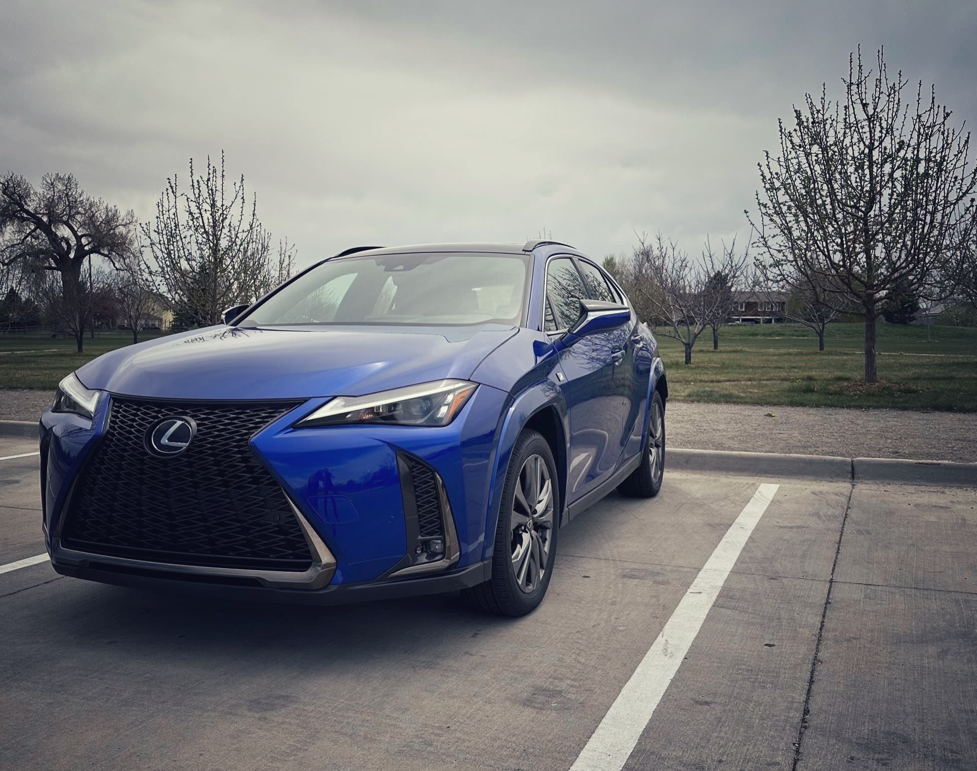 exterior of a blue 2023 Lexus UX