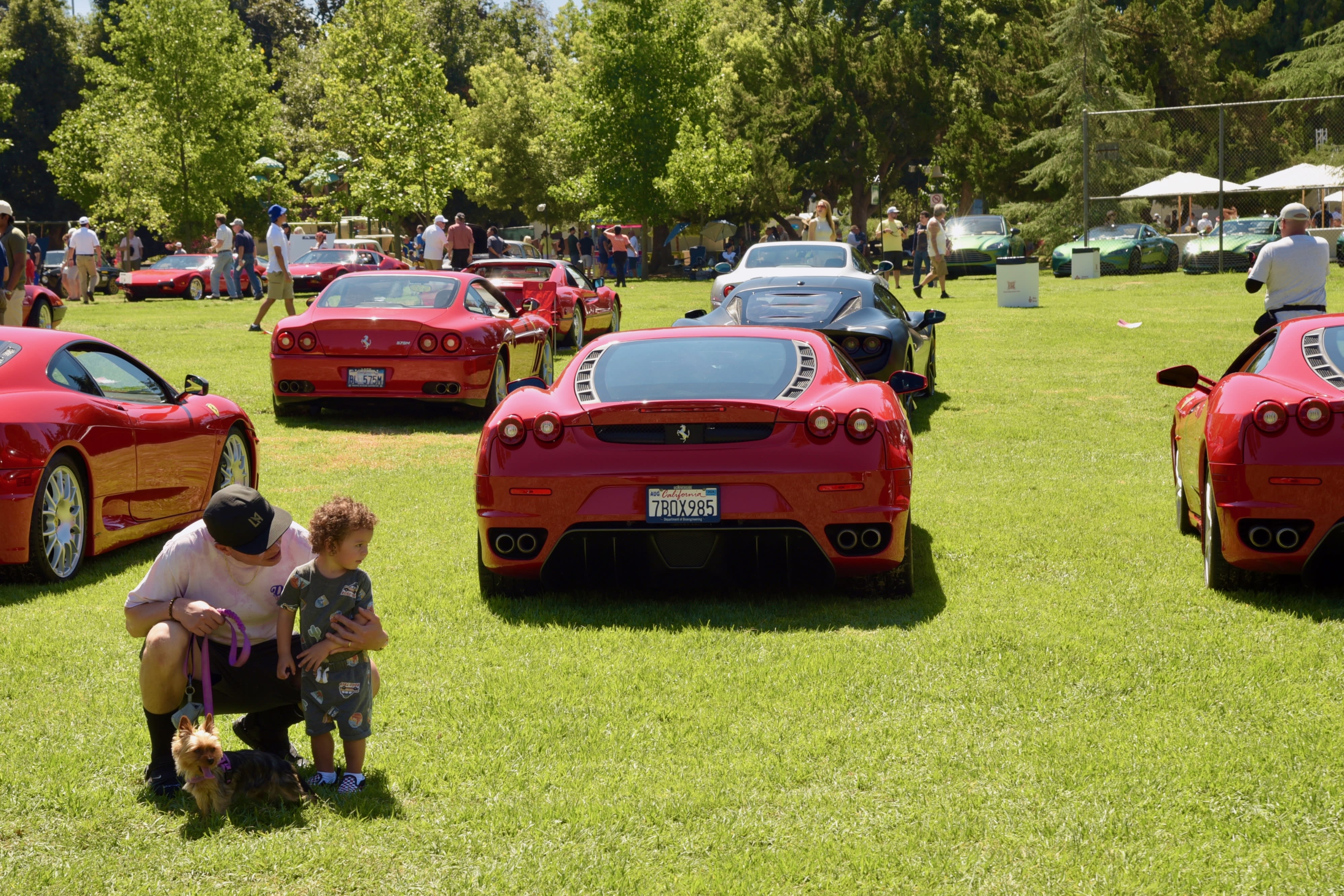 the Ferraris at the 12th annual San Marina Classic Car show
