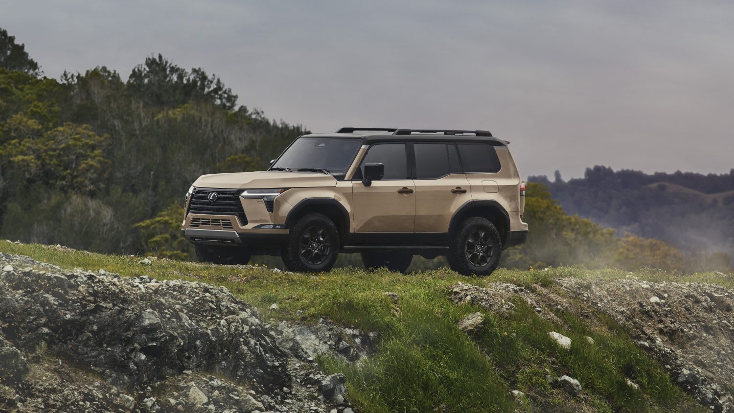 the Lexus GX