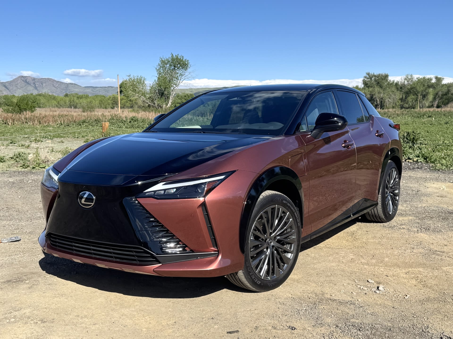 exterior of the Lexus RZ