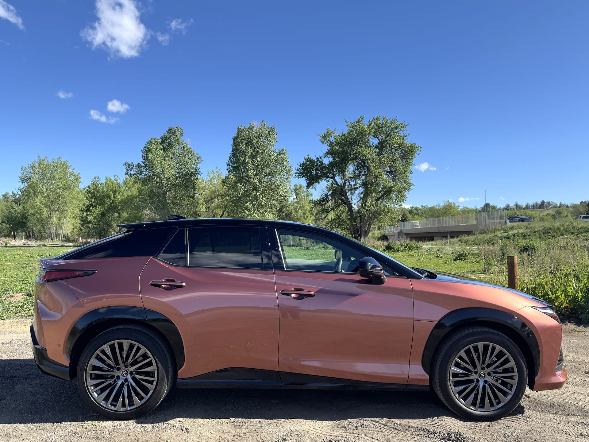side exterior of the Lexus RZ