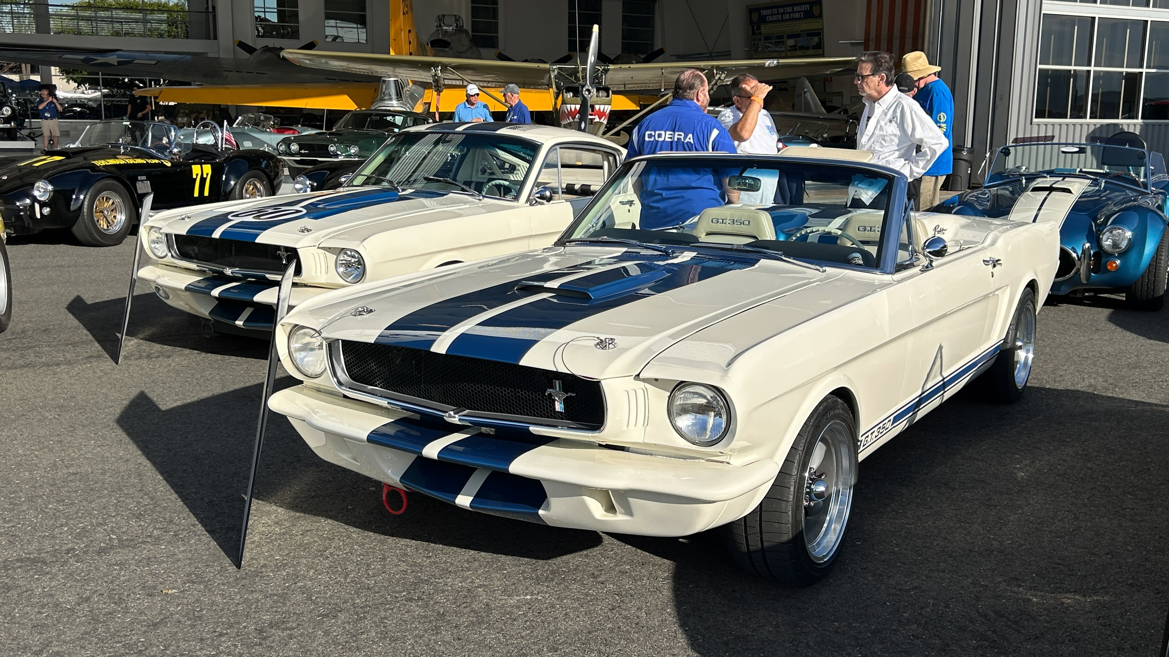 shelby tribute
