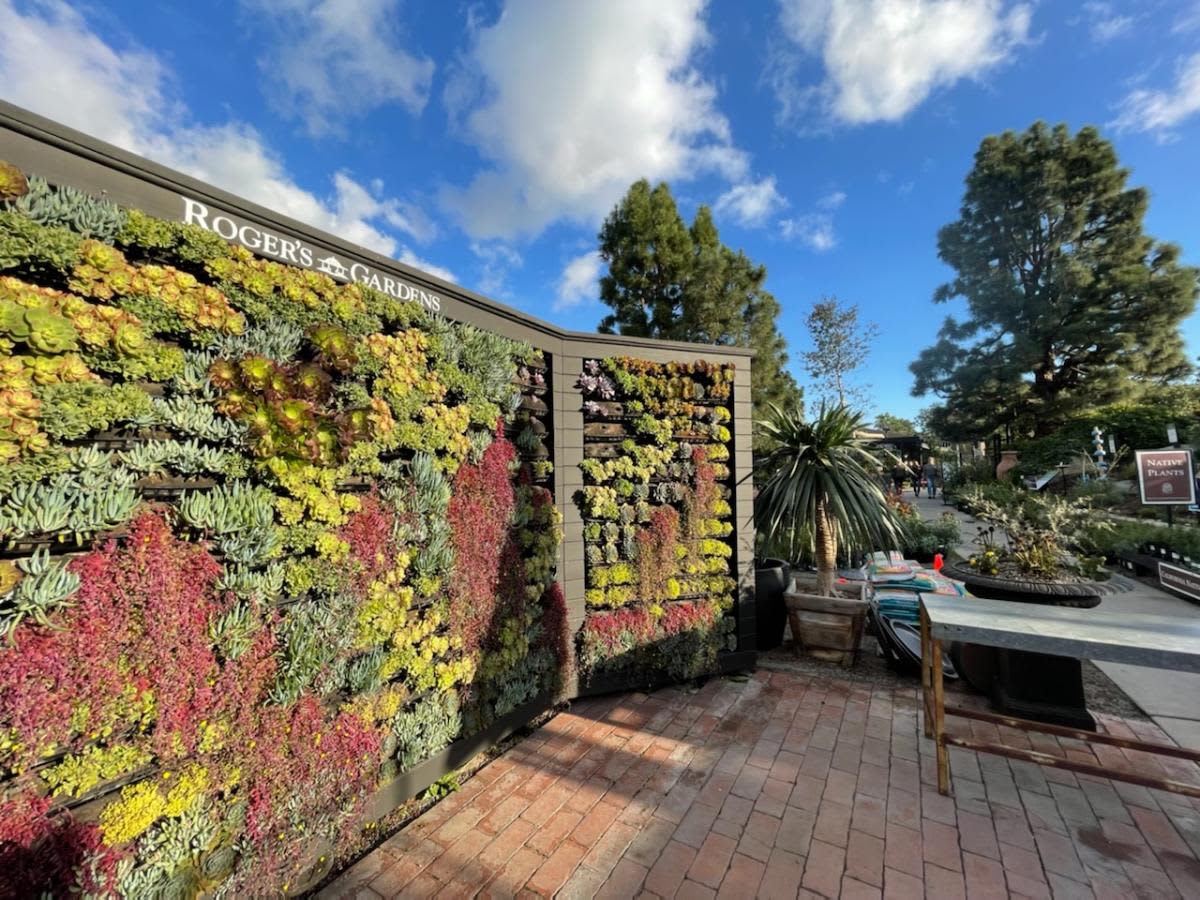 plant-wall at Rogers Gardens