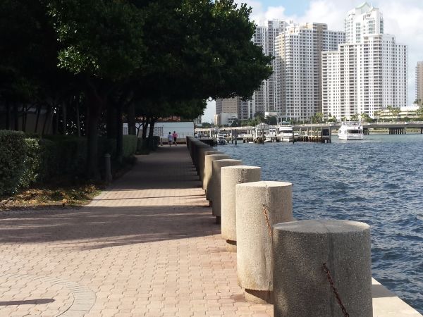 Miami Morning Run On The Water Miami Local Guddy Explore Destinations With Locals Miami Morning Run On The Water Miami Local Guddy Explore Destinations With Locals