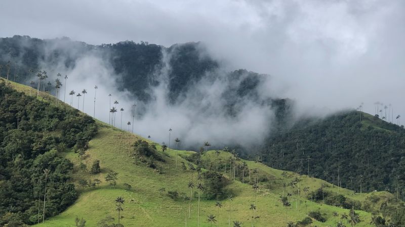 Девять дней в Колумбии — новой столице удалёнщиков