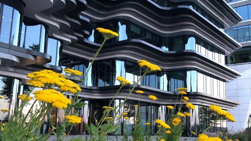 Guide avatar