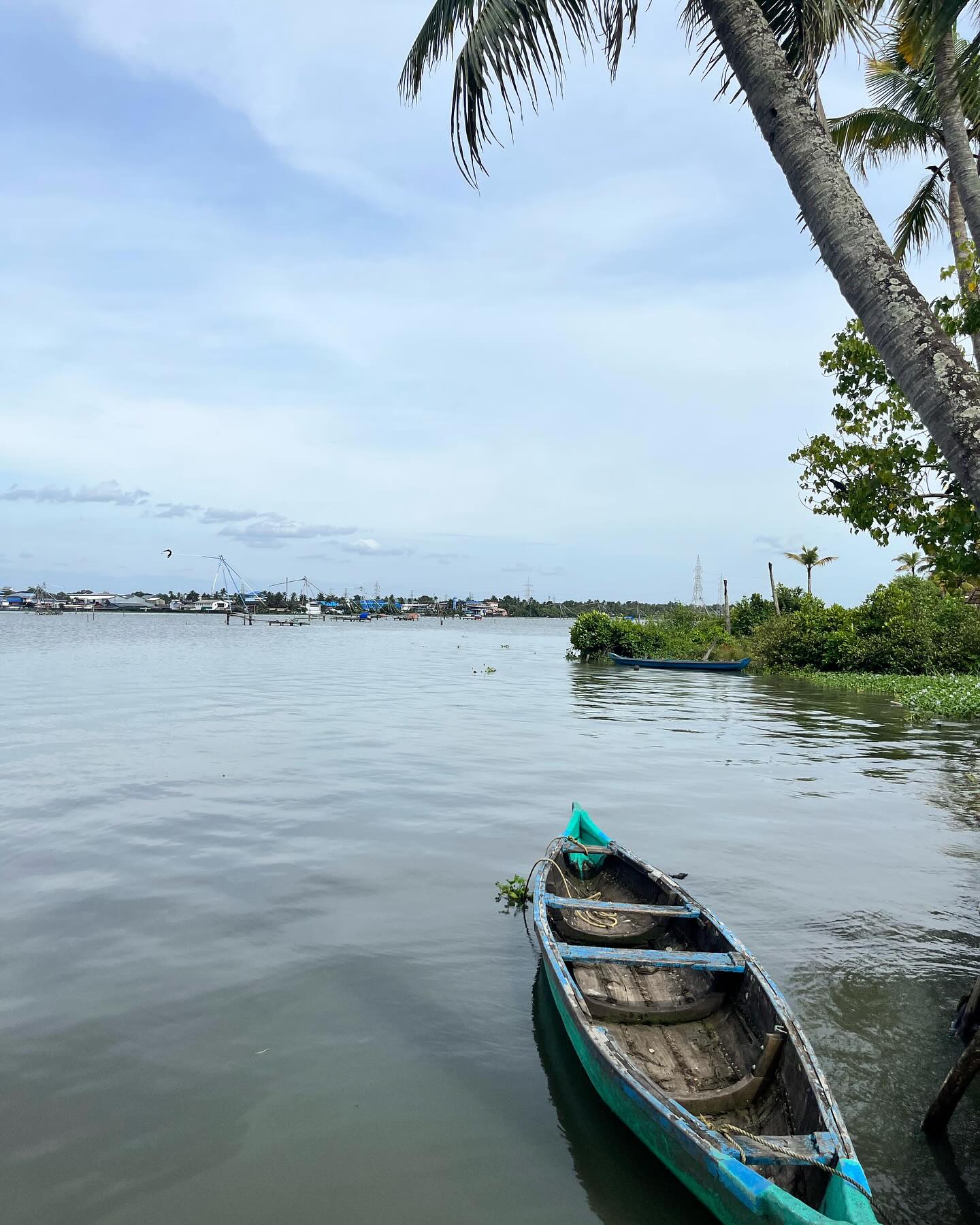 Resting Between Tides
