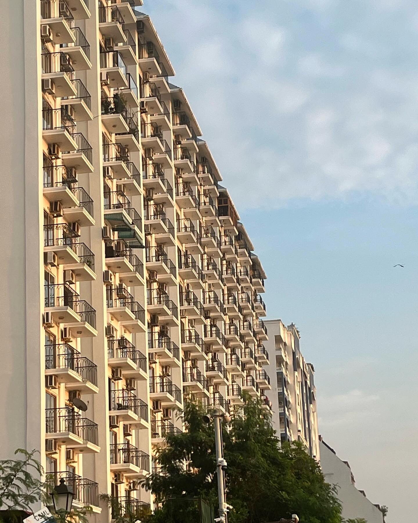 Geometry of Stillness