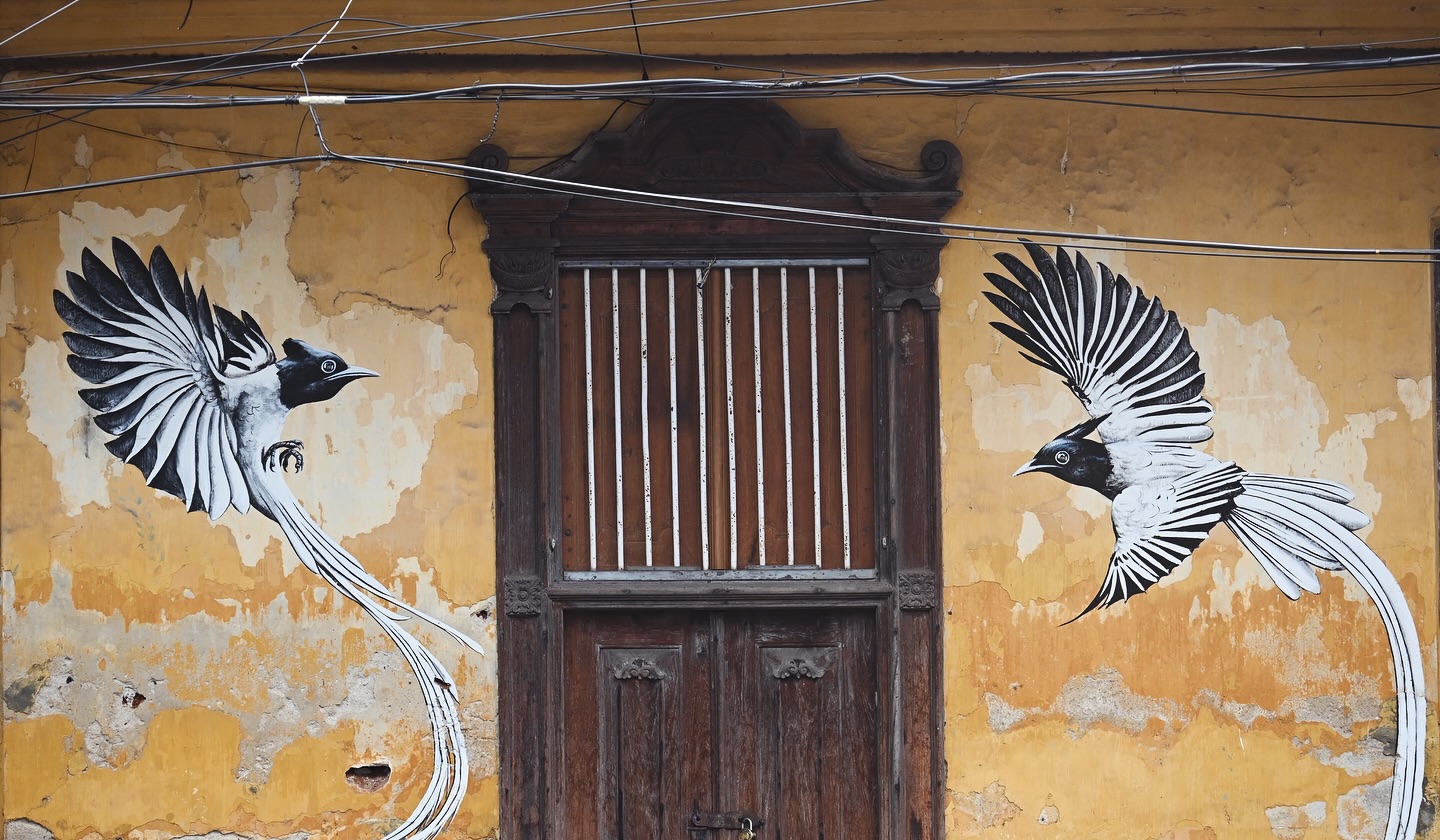 Colors That Once Flew