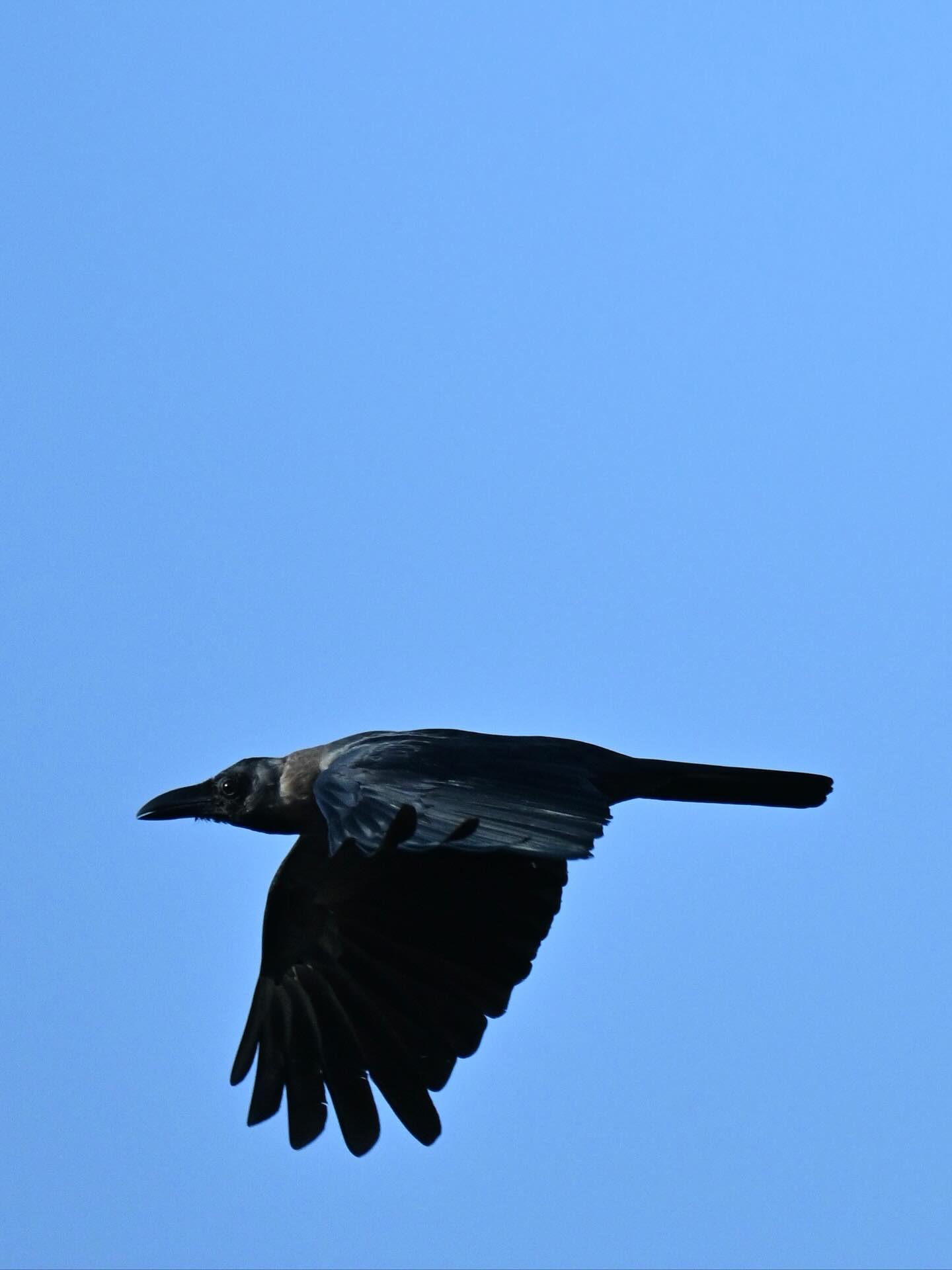 Between Sky and Shadow