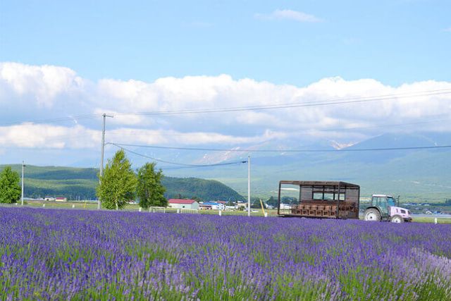 Hokkaido