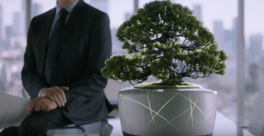 bonsai Nhật Bản