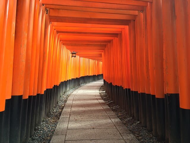 cổng torii ở Nhật Bản - Kyoto  