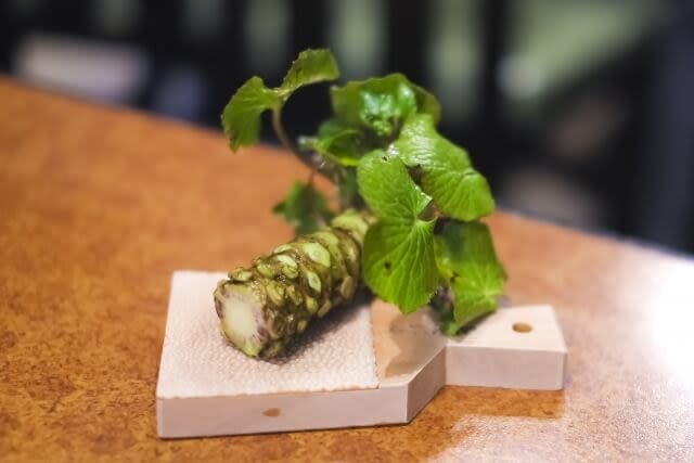 wasabi nhật bản