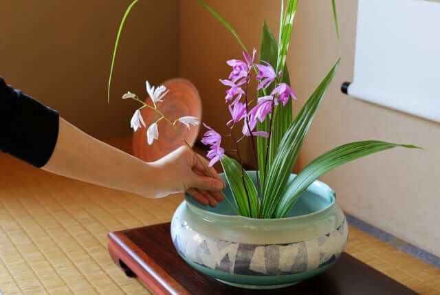 ikebana