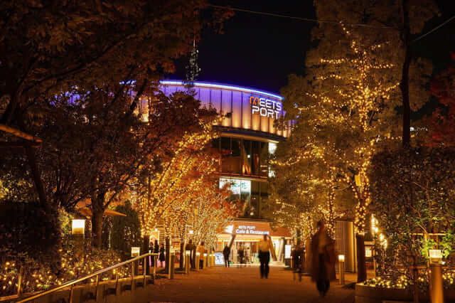 lễ hội ánh sáng tokyo