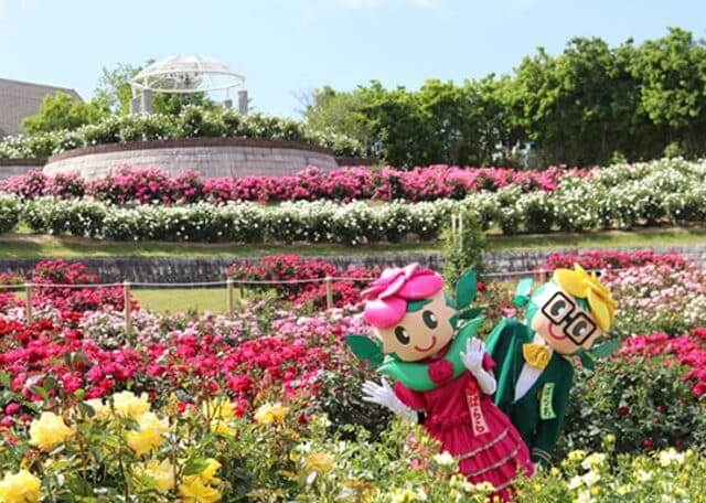 Kanoya Rose Garden