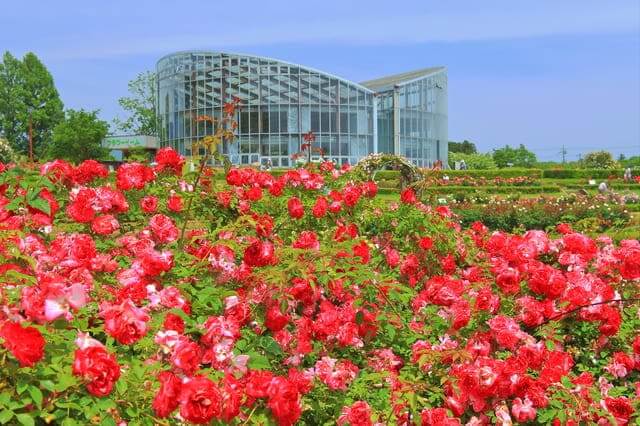 Ibaraki Flower Park