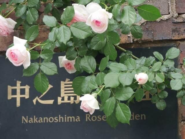 Nakanoshima Garden