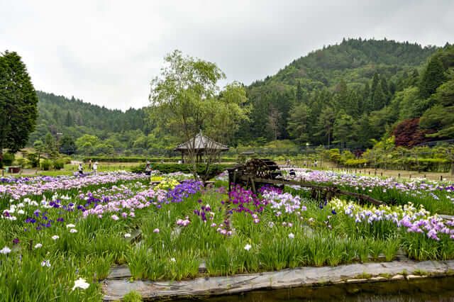 Chùa Youtakuji, tỉnh Hyogo