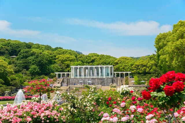 Công viên Suma Rikyu, Hyogo