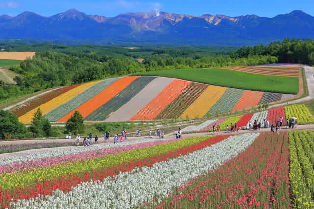 Shikisai no Oka, Hokkaido