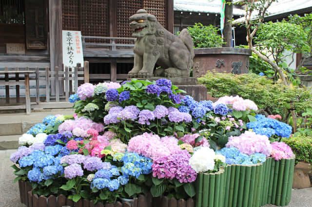 Đền Hakusan, Tokyo