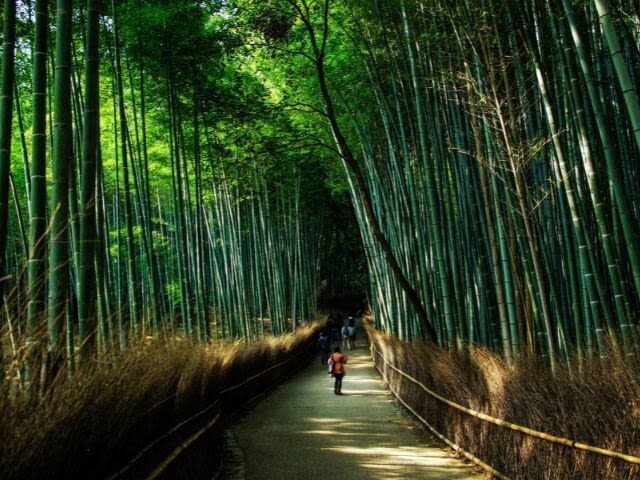 du học Nhật Bản - Kyoto 