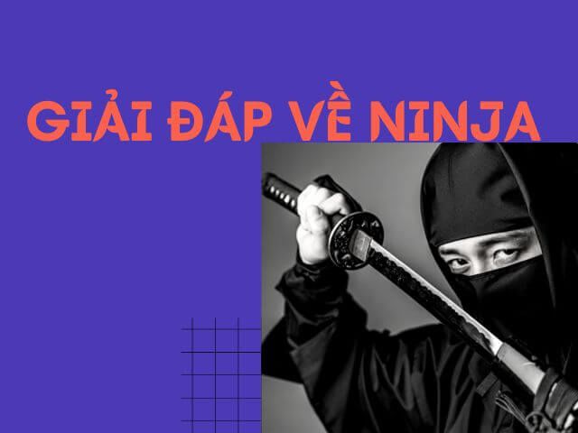 Ninja Nhật Bản