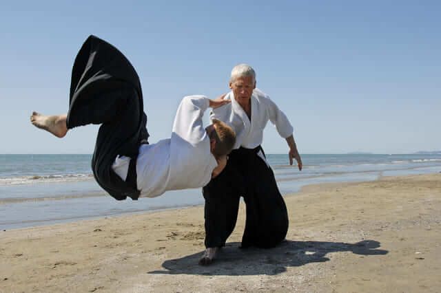 aikido võ thuật Nhật Bản