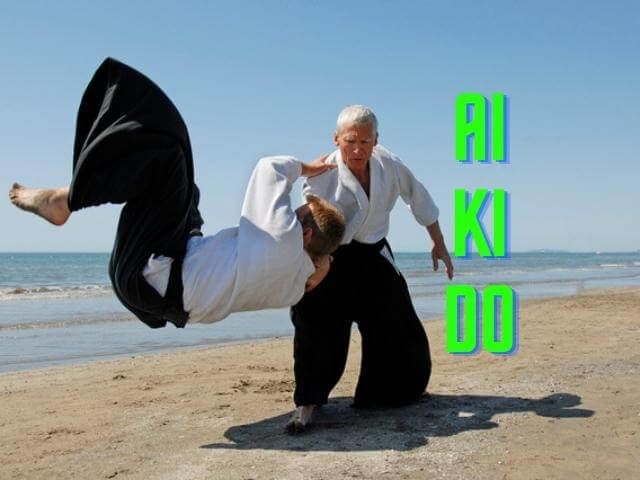 aikido võ thuật Nhật Bản