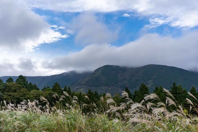 全国のイベント・お祭り