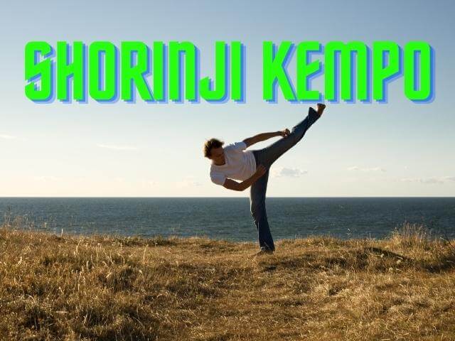 Shorinji Kempo