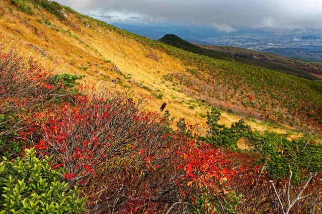 du lịch Tohoku tháng 10